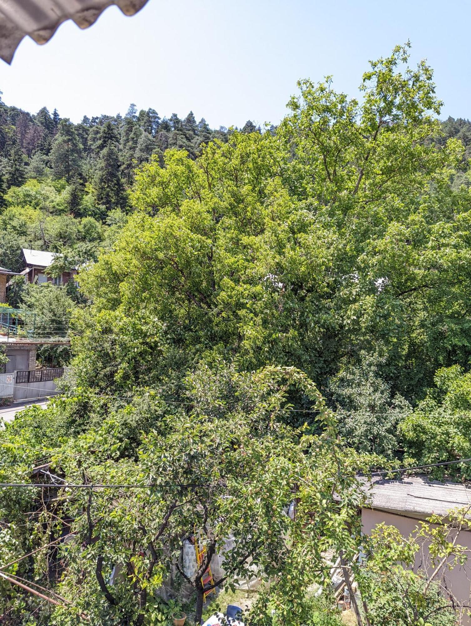 Dalko Hotel Borjomi Room photo