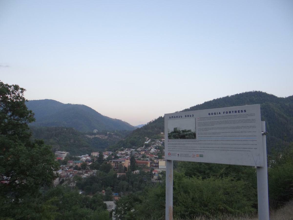 Dalko Hotel Borjomi Exterior photo