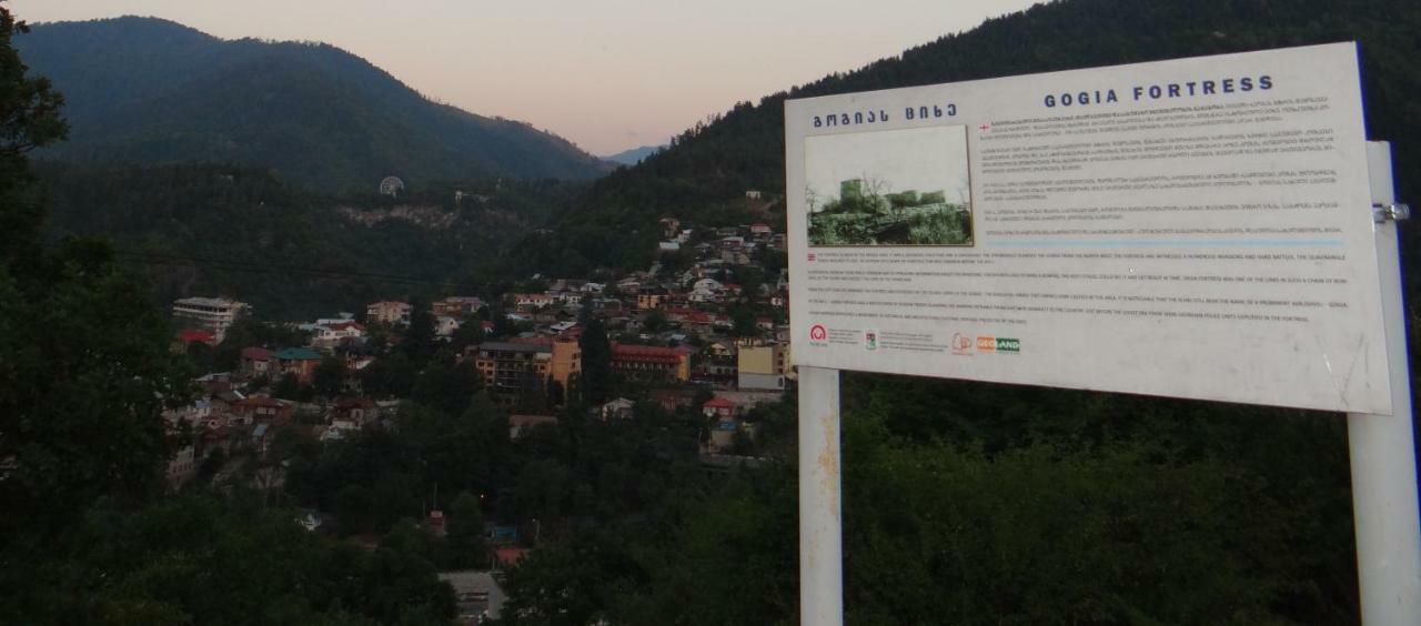 Dalko Hotel Borjomi Exterior photo